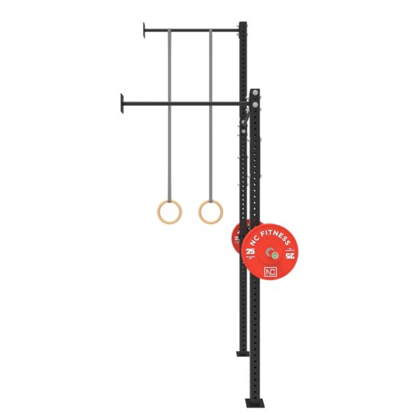 Wall Mounted Gym Equipment Rig