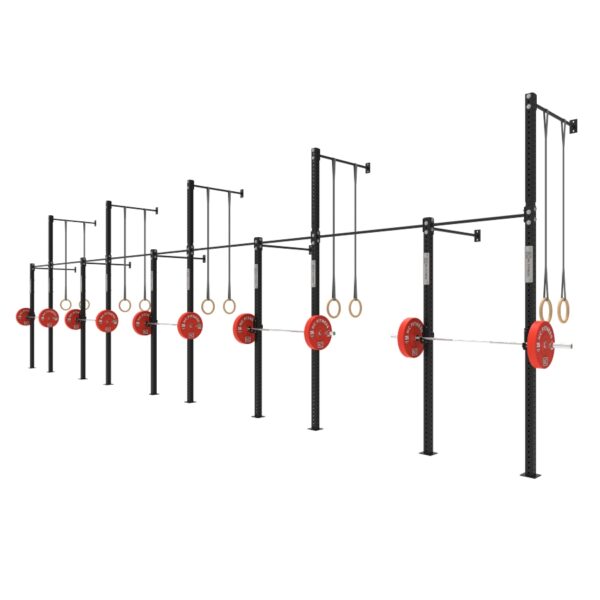 Wall Mounted Gym Equipment Rig