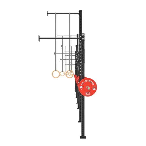 Wall Mounted Gym Equipment Rig