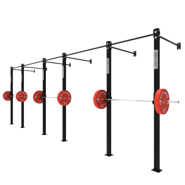 Wall Mounted Gym Equipment Rig