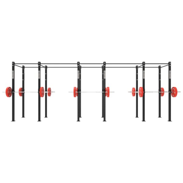 Wall Mounted Gym Equipment Rig