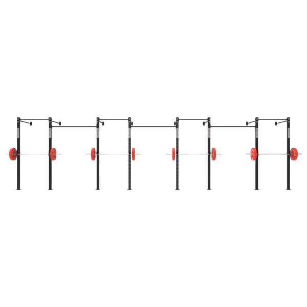 Wall Mounted Gym Equipment Rig