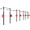 Wall Mounted Gym Equipment Rig