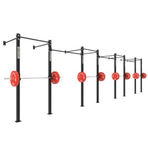 Wall Mounted Gym Equipment Rig