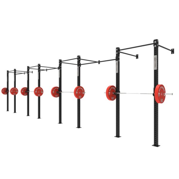 Wall Mounted Gym Equipment Rig