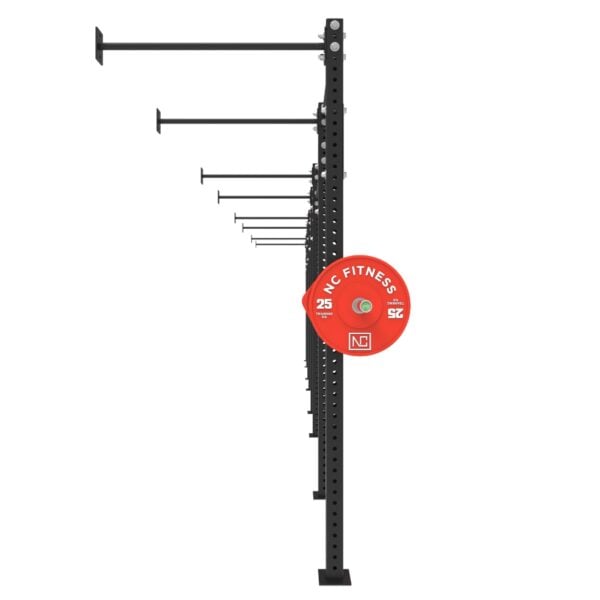 Wall Mounted Gym Equipment Rig