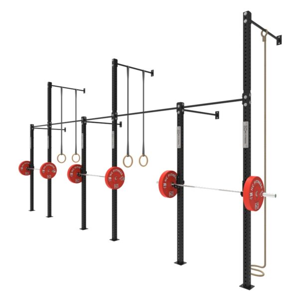 Wall Mounted Gym Equipment Rig