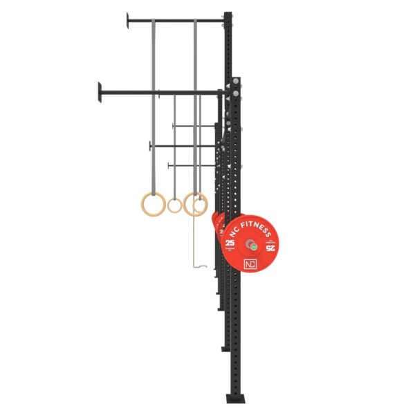 Wall Mounted Gym Equipment Rig