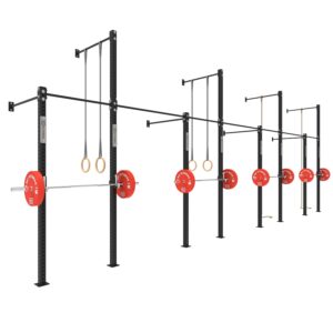 Wall Mounted Gym Equipment Rig