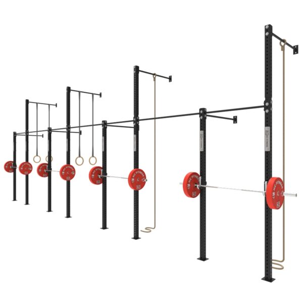 Wall Mounted Gym Equipment Rig