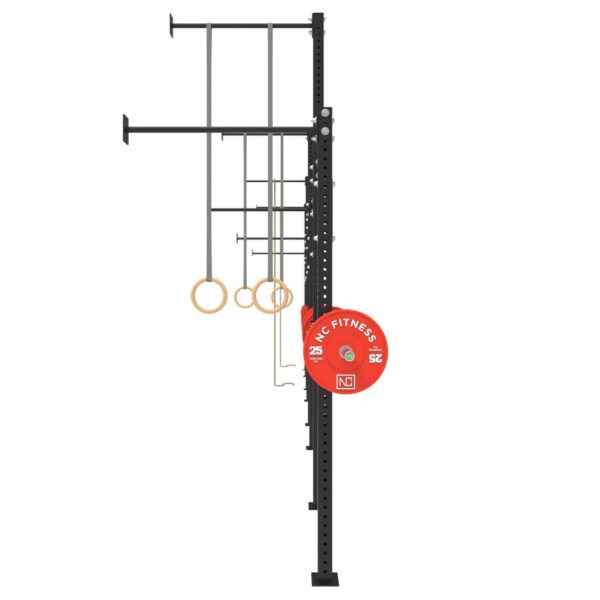 Wall Mounted Gym Equipment Rig