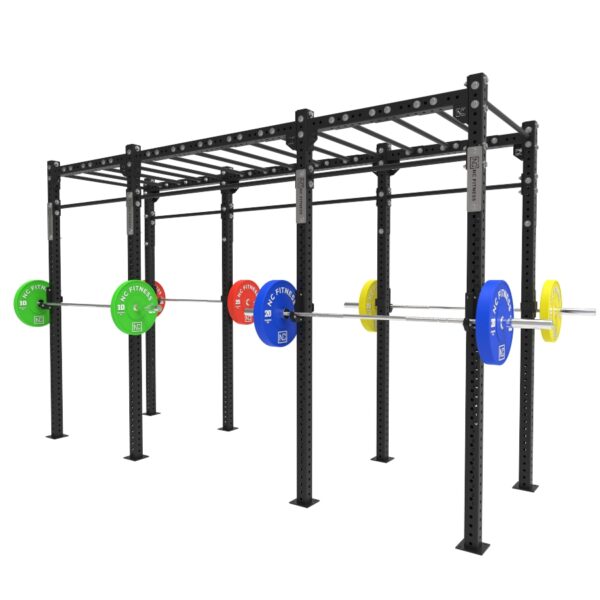 H-Series Free Standing Gym Rig with monkey bars