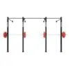 Wall Mounted Gym Equipment Rig