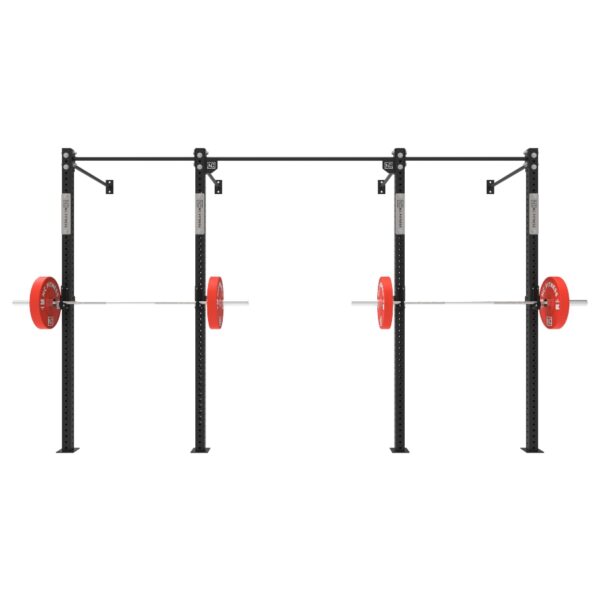 Wall Mounted Gym Equipment Rig