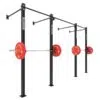 Wall Mounted Gym Equipment Rig