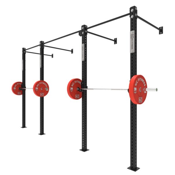 Wall Mounted Gym Equipment Rig