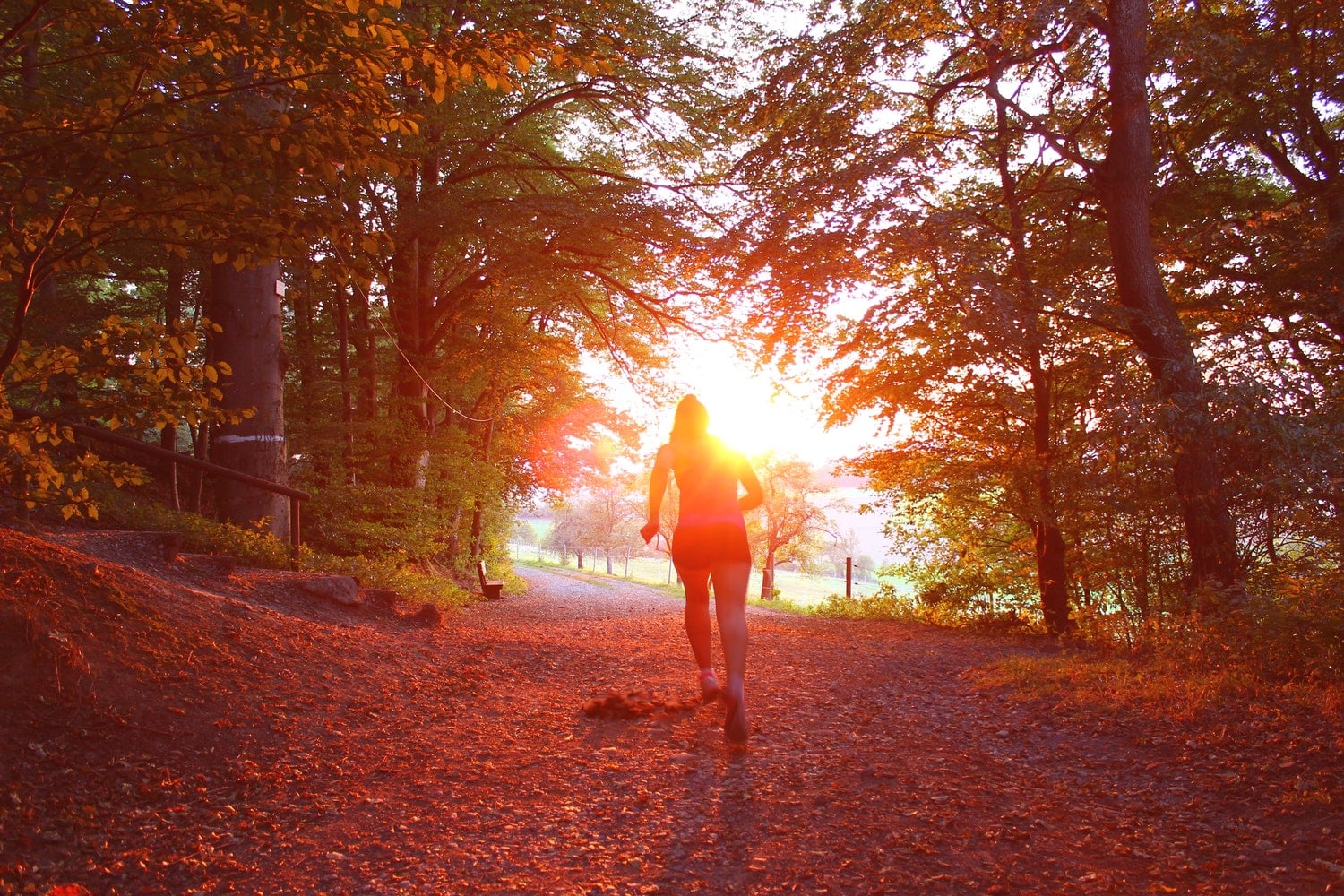 The best time of the day to workout