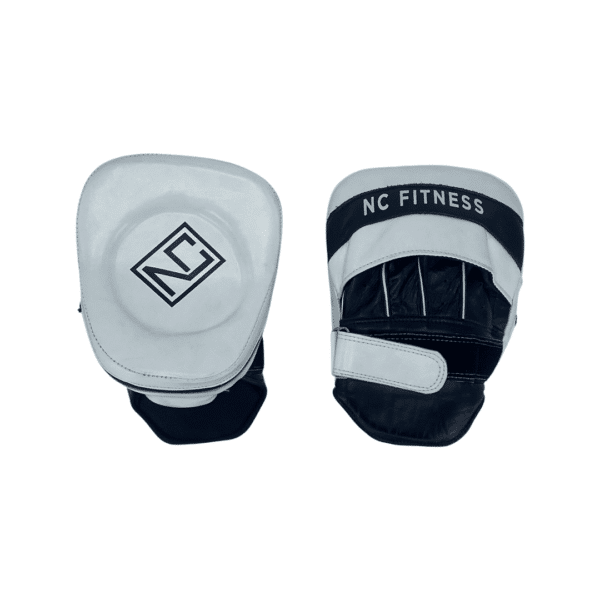 focus mitts boxing