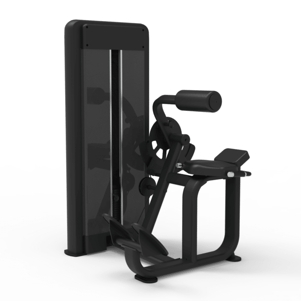 FZ Series Back Extension Machine