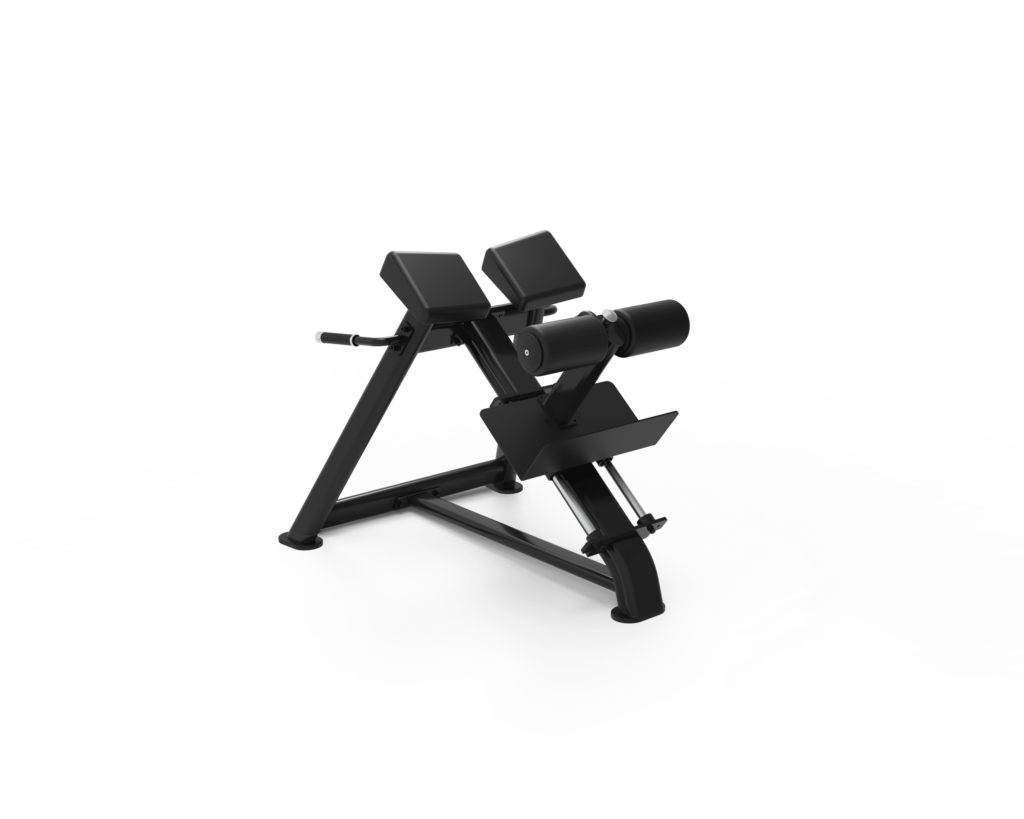 Adjustable Roman Chair
