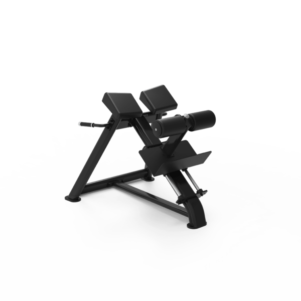 Adjustable Roman Chair