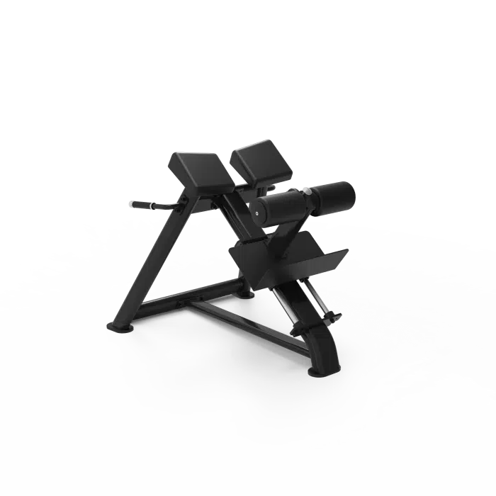 Adjustable Roman Chair